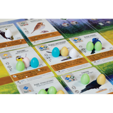 Wingspan - Bordspel