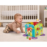 VTech Baby Speelpret Activiteitenpanelen