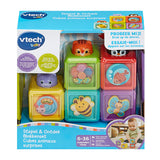 VTech Baby Stapel & Ontdek Blokkenset