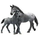 Horse Lisa's toernooi training