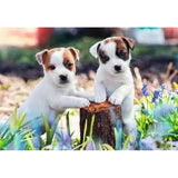 Puzzel 2x12 Schattige haarbolletjes