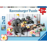 Puzzel 2x12 Schattige haarbolletjes