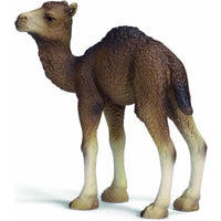 SCHLEICH Dromedaris veulen 14356