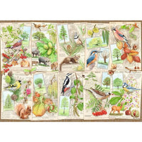 Puzzel 1000 Bijzondere bomen