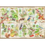 Puzzel 1000 Bijzondere bomen