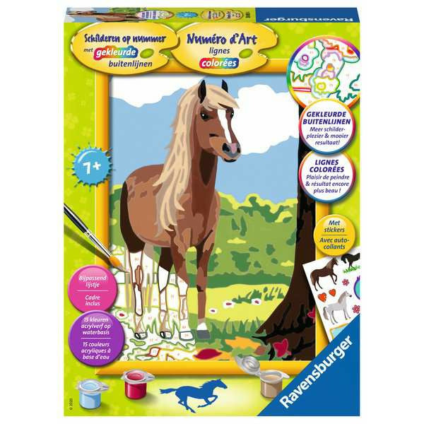 SON: Paard 7+