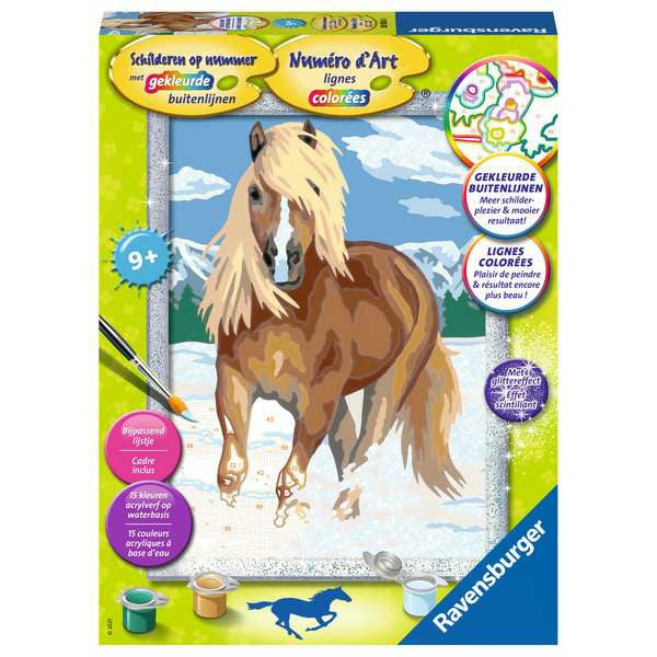 SON: Paard in sneeuw
