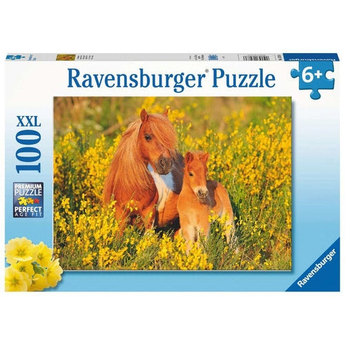 Puzzel 100XXL Shetlandponys