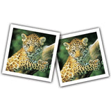 Spel Memory Jonge Dieren Pocket