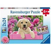 Puzzel 2x24 Vrienden van Fell