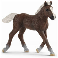 SCHLEICH Schwarzwalder veulen 13899